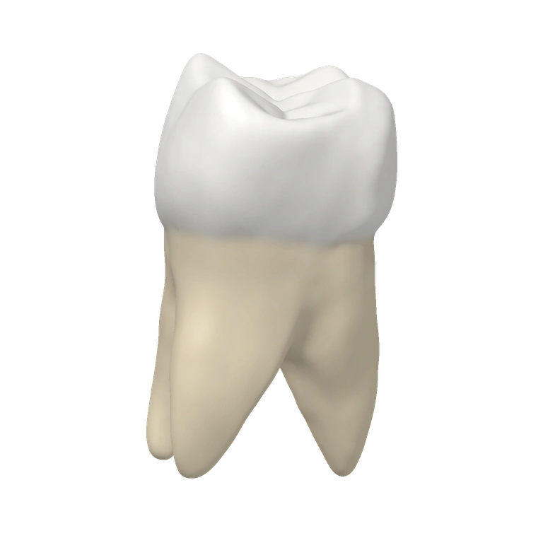 Root Canal Care